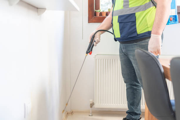 Best Pest Inspection Near Me  in Bath, MI