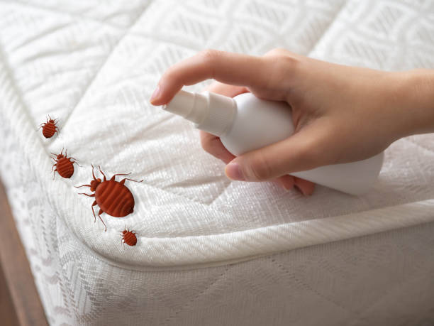 Best Best Pest Control Companies  in Bath, MI